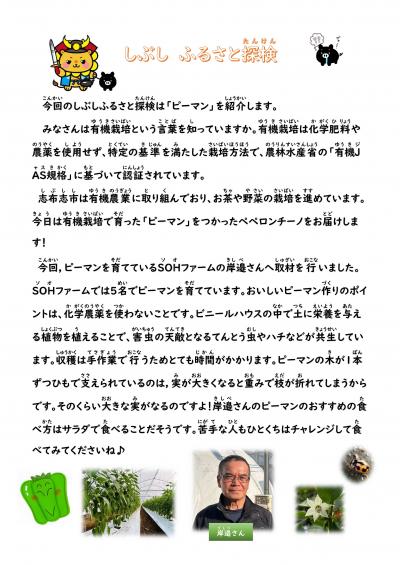 岸邉さんのピーマン