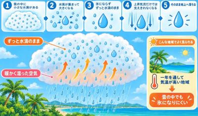 暖かい雨