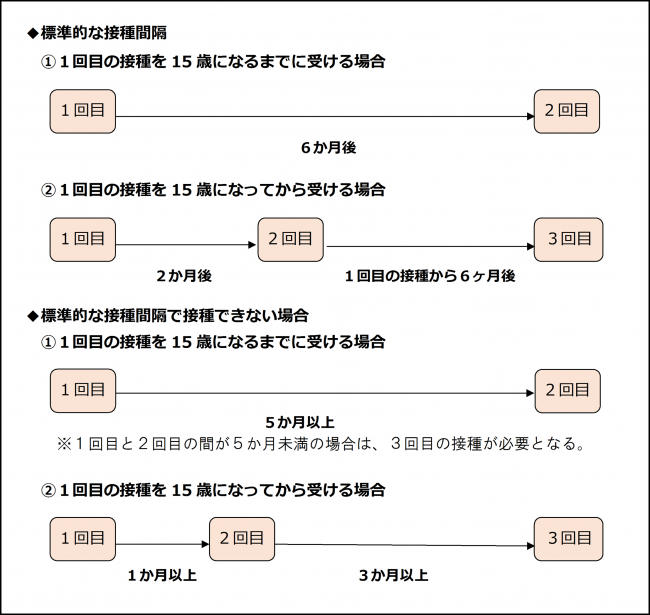 シルガード（定期）